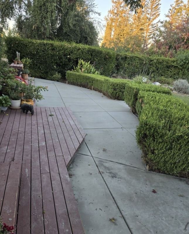Curved concrete patio