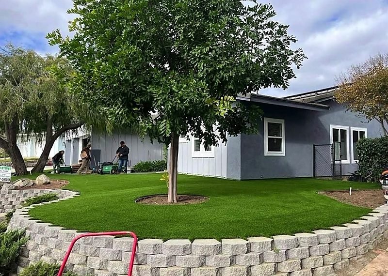 Curved block retaining wall around a lawn and shade tree