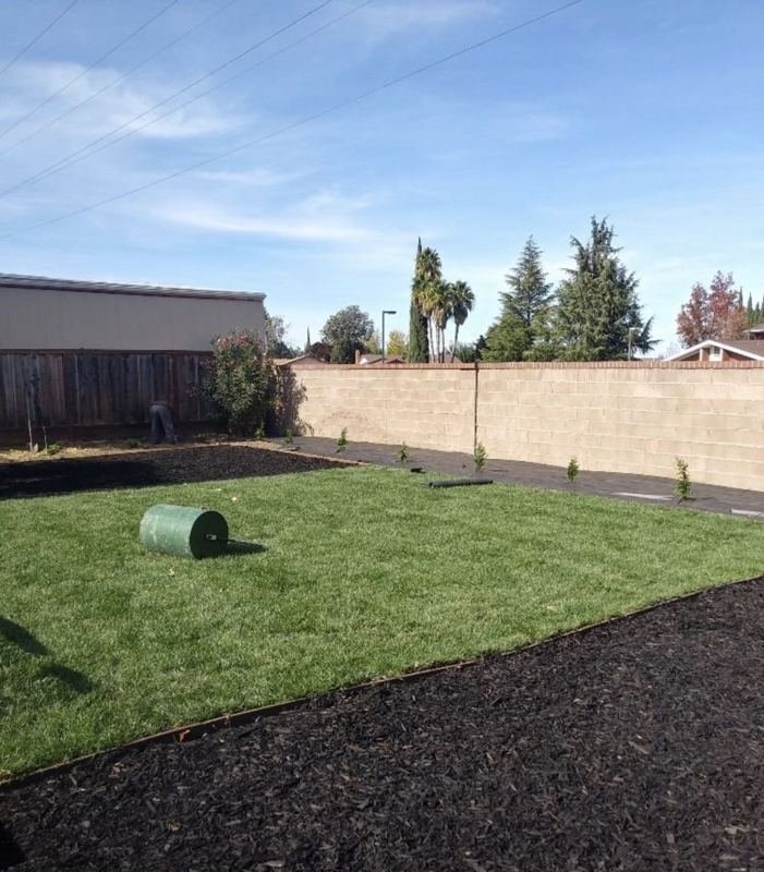 Paver path along a block wall with new sod